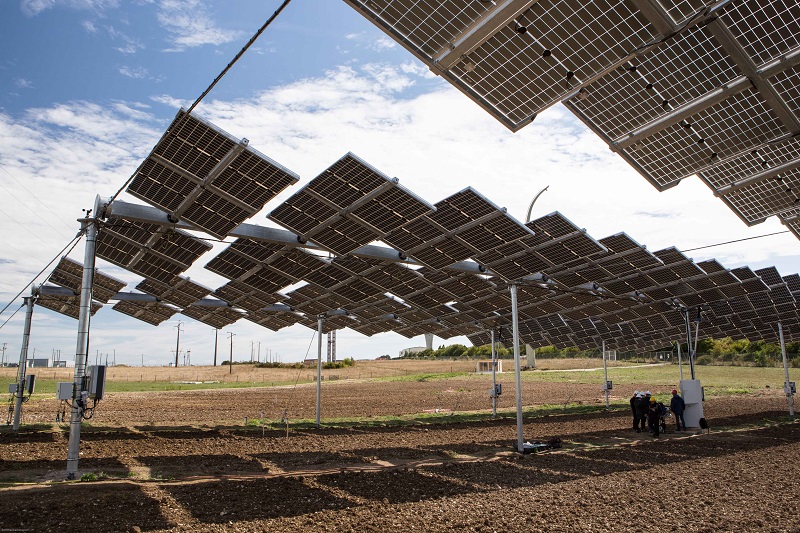 Agrivoltaico enea