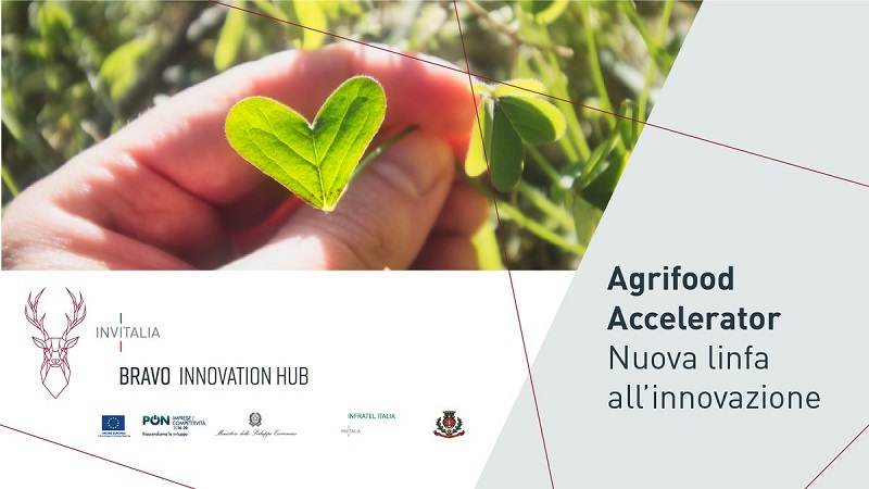Banner Agrifood bravo
