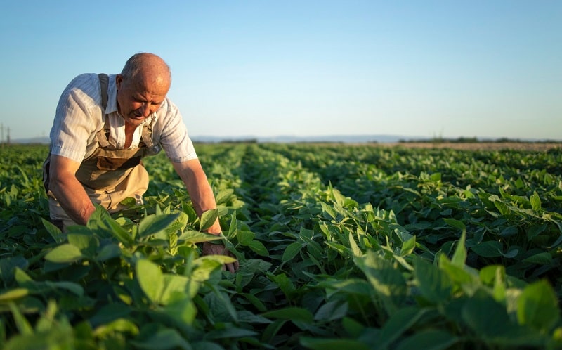 Coltiviamo agricoltura sociale 2023