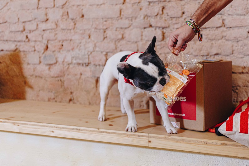 Dog Heroes Box product 3