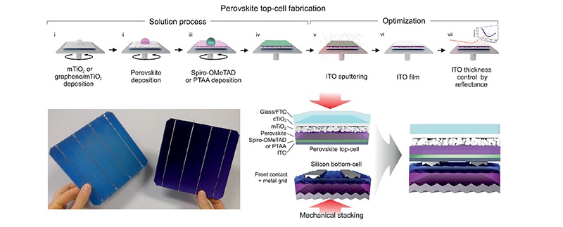 Enea Peroskitecompleta