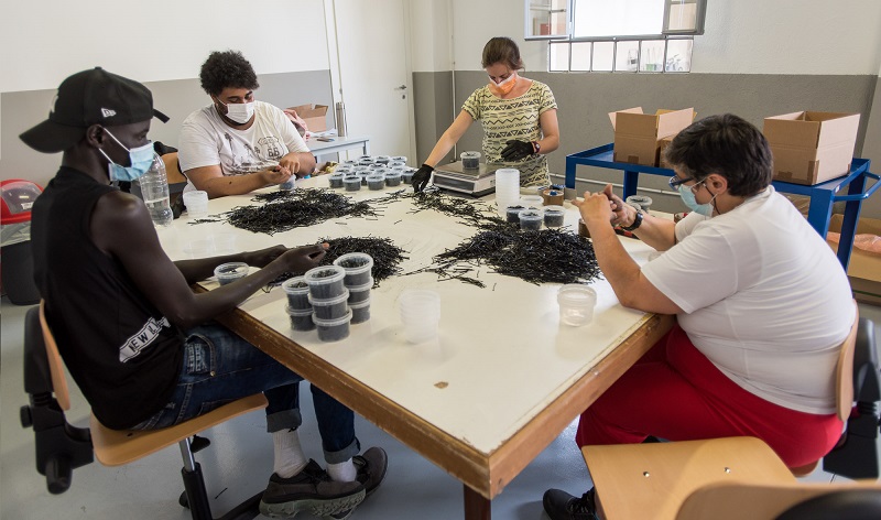 FARE Laboratorio Gener.Attiva Borgomanero foto di Francesco Lillo 1
