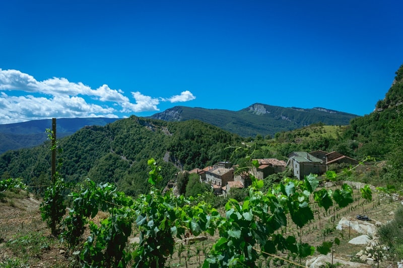 FEG Progetto Appennino call territori 2