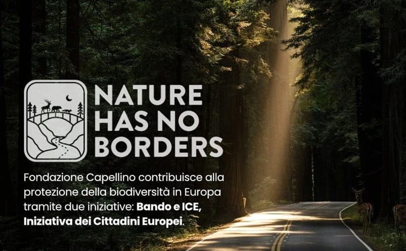 Nature has no borders: 4 milioni di euro per proteggere e collegare gli habitat naturali in Europa
