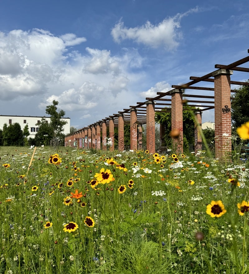 Foto progetto Sottocasa