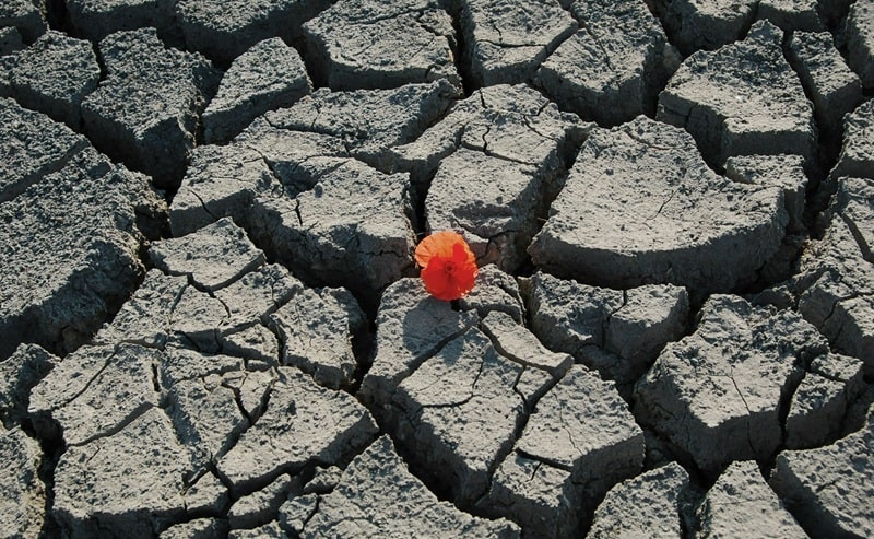 Oltre la crisi: l’innovazione sociale come motore di resilienza e inclusione globale