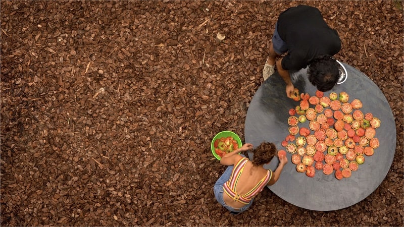 IPDB Rivoluzione Seppie Belmondo Crossings 2019 2021 LRDS 12