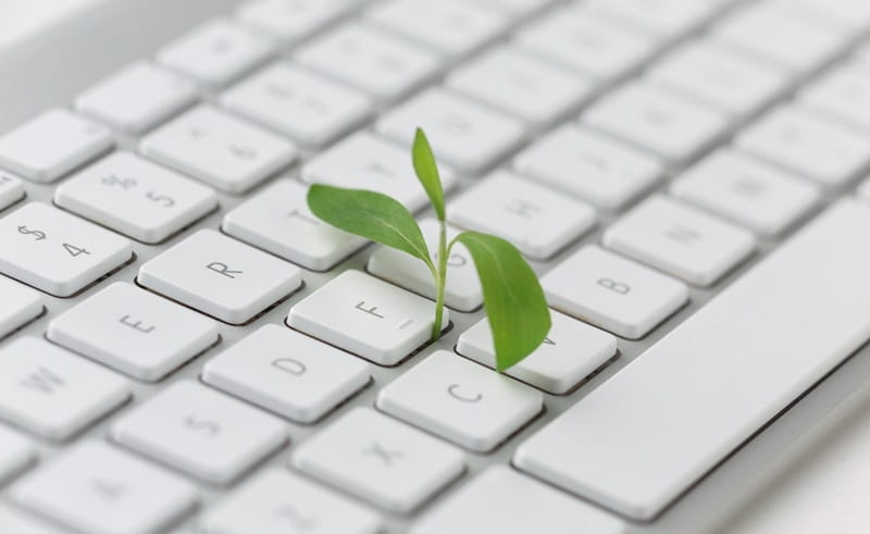 MIMIT: 50 milioni per la formazione delle PMI del Mezzogiorno sulla transizione digitale e green