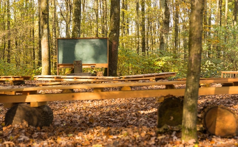 NEO scuola lavagna alberi