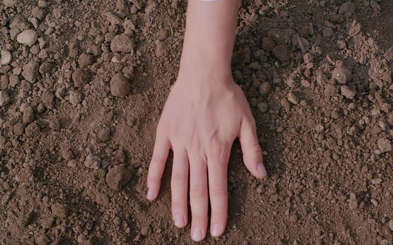 NaturaSi bando