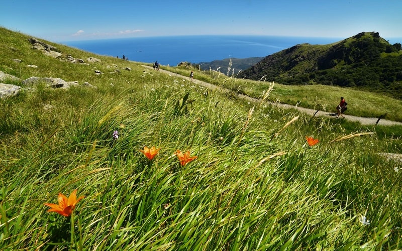 Pratorotondo estate 2020 Roberto Guaschino 