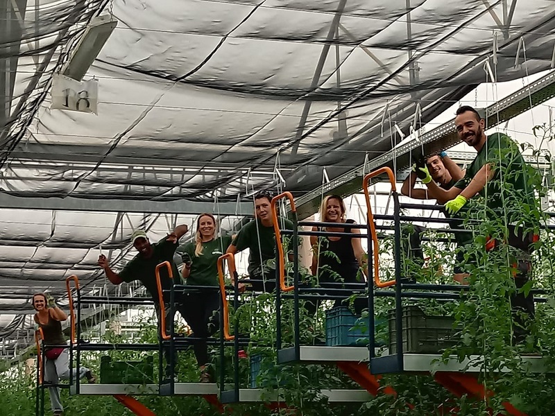 Sfera 5 Ad oggi Sfera ha dato lavoro a 165 persone