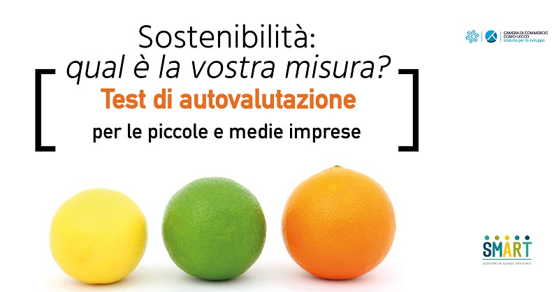 TEST SOSTENIBILITA PROGETTO SMART