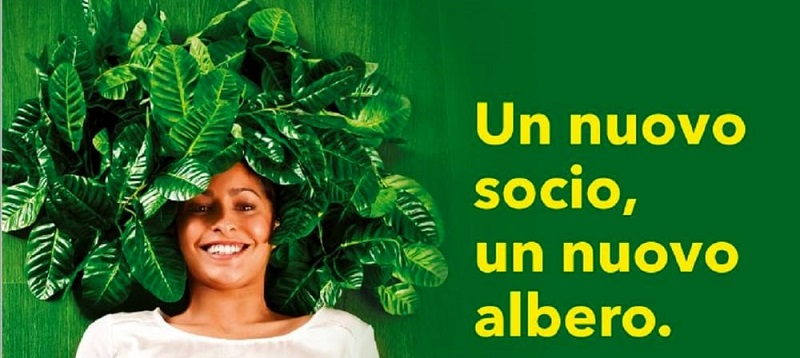 Un nuovo socio un nuovo albero 2