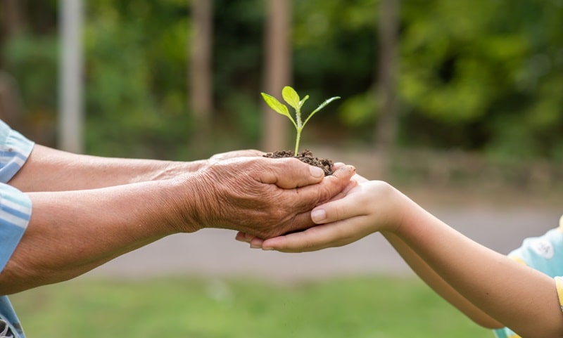 CSVnet e Slow Food Italia insieme per un sistema alimentare più equo