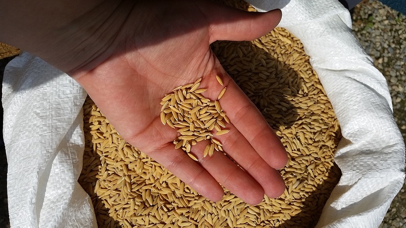agricoltura CIA 2