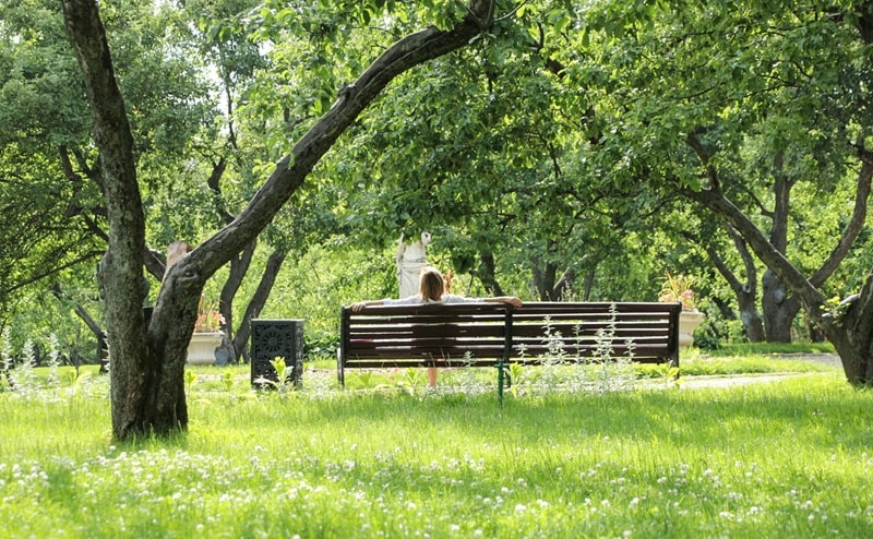 Alberi in città: aumentarli del 5% può evitare 5mila morti premature l’anno 
