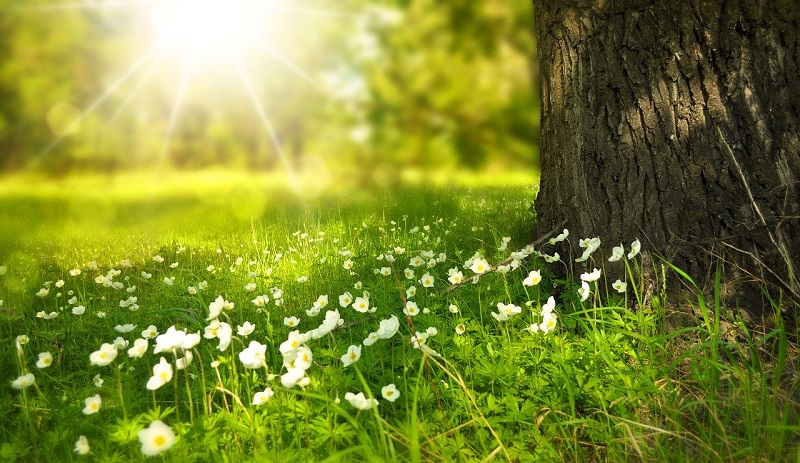 ambiente in casa minambiente