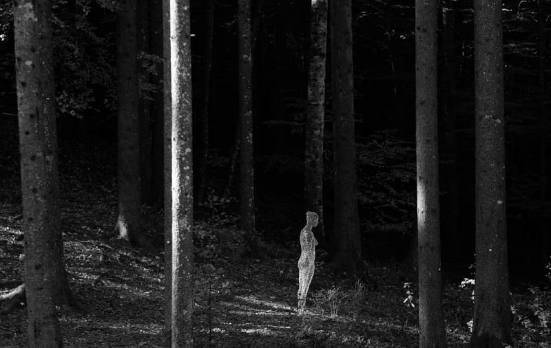 Arte Sella: la montagna come museo a cielo aperto 