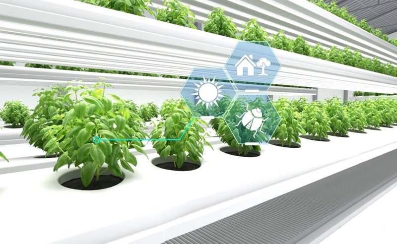 La Bioeconomia come motore di crescita sostenibile. Opportunità e strategie 