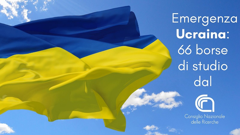 borse studio ucraina