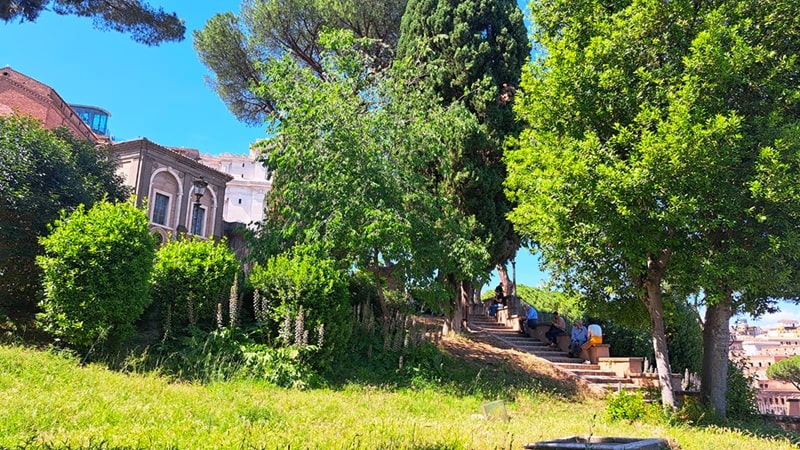 Emergenza climatica: 25 soluzioni nature-based per ridurre le isole di calore nelle città