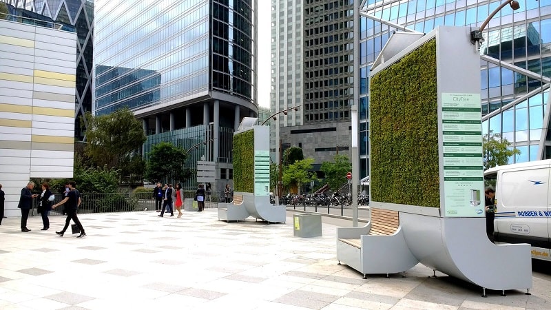 city tree