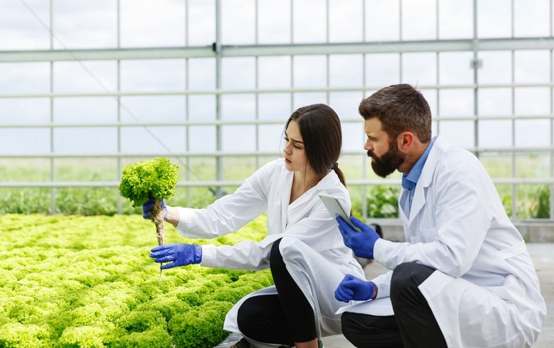 corsi food centoform 2023 corso 1