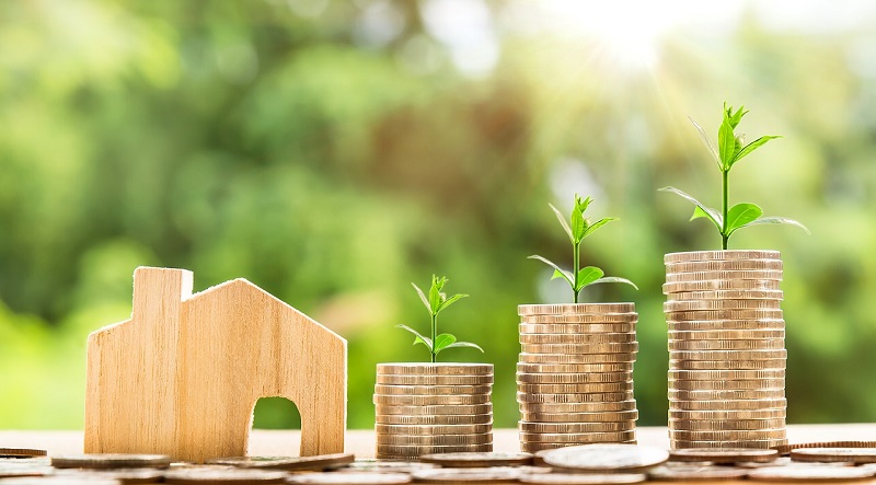 crowdinvesting report 2021
