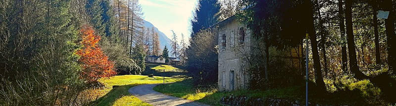 demanio concessioni 2021