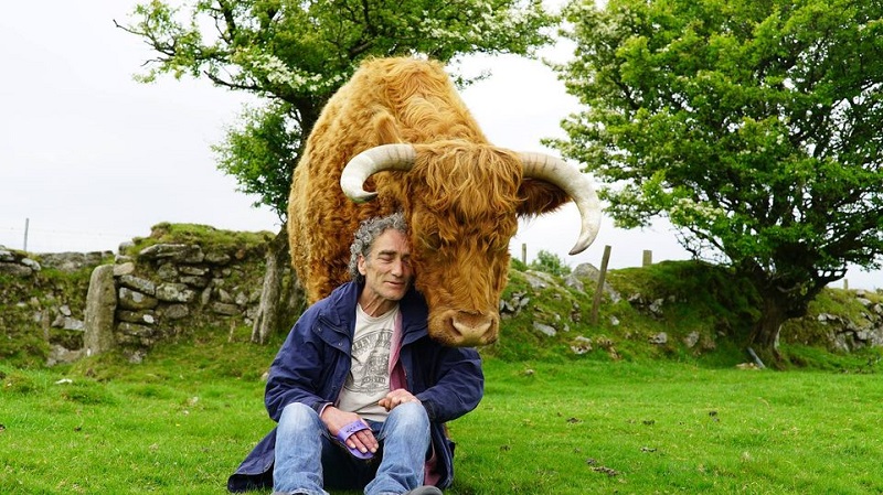 festival cinema rurale