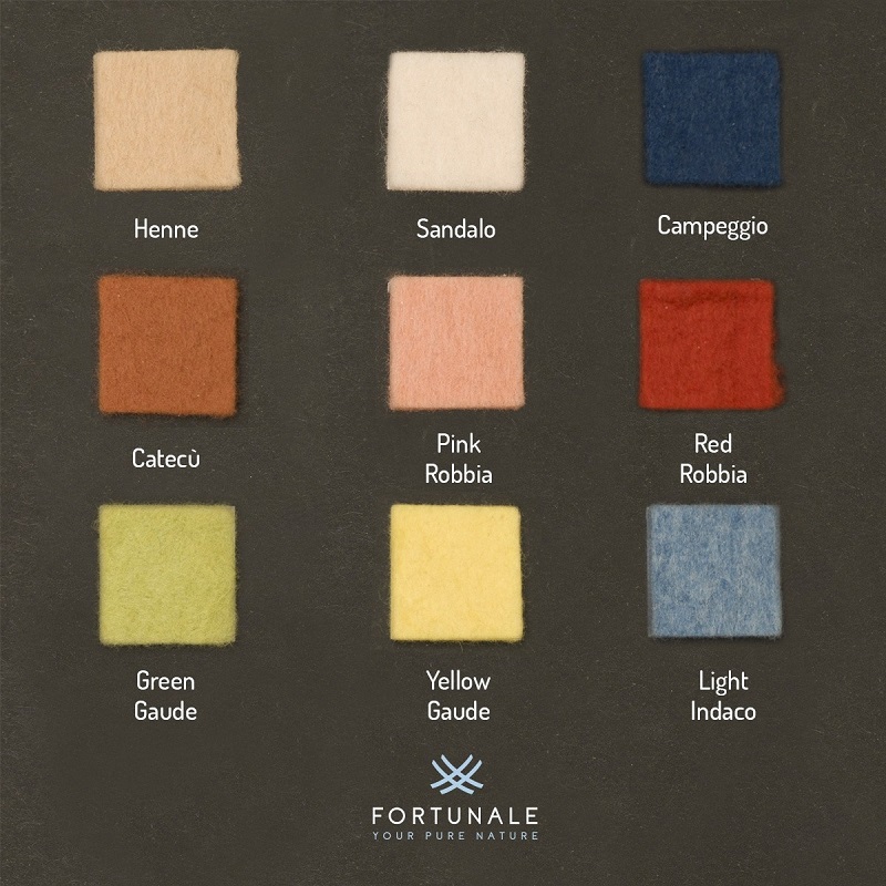 foto cartella colori