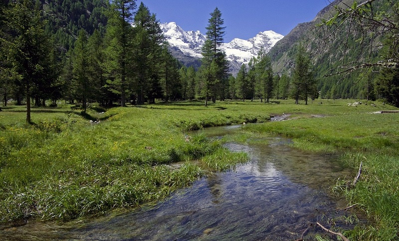gran paradiso