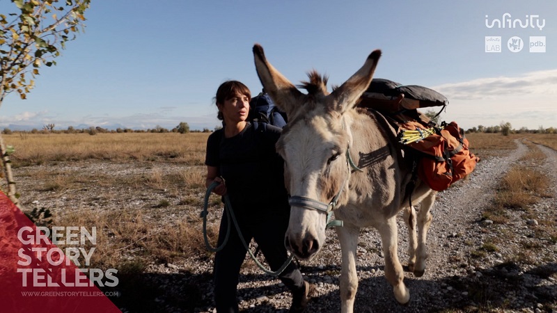 green story tellers asino