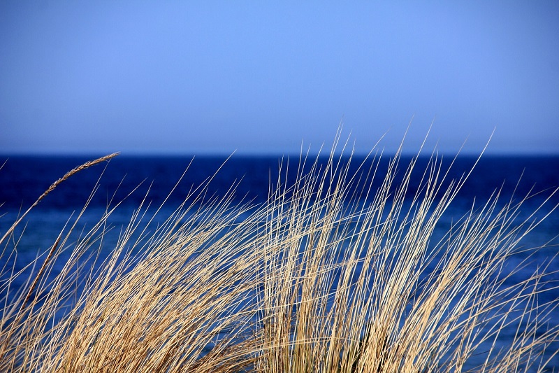h2o legambiente mare