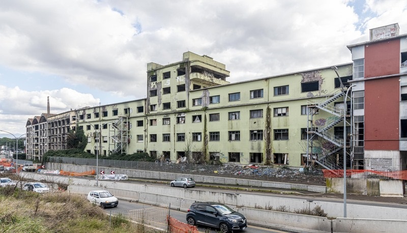 hotel penicillina