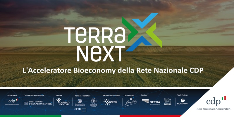 img social Terra Next 800x400 d0