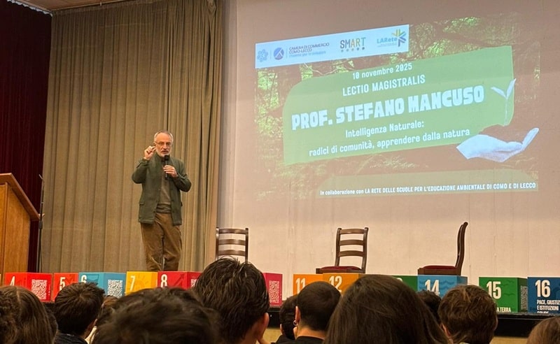 impatti Stefano mancuso 2025 lectio