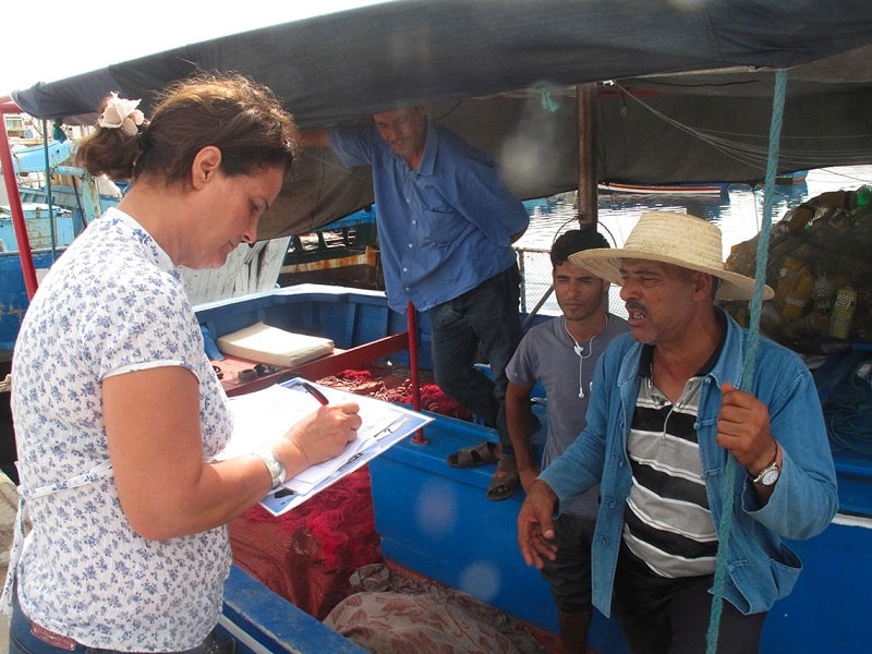 indagine pescatori pesci sentinella enea