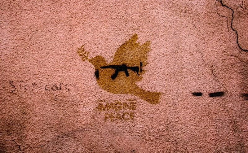 Conversazioni sulla pace. Il ruolo delle imprese nello sviluppo sostenibile