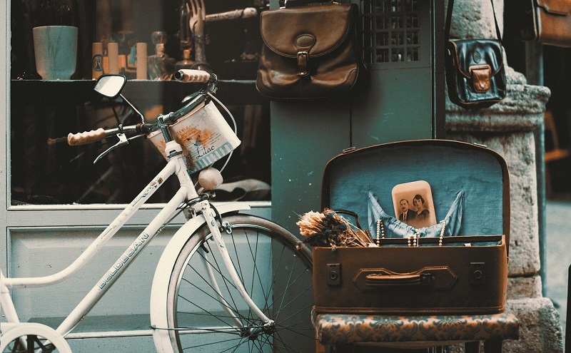 laureate in bottega copertina