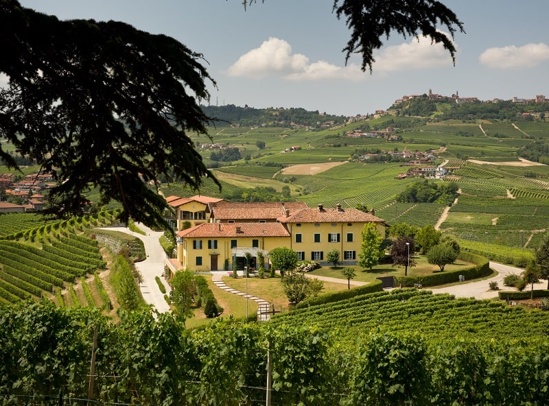 monfalletto0255 neh experience