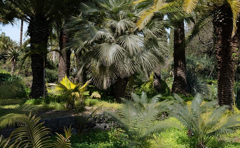 oltre il giardino Parco del Toscano