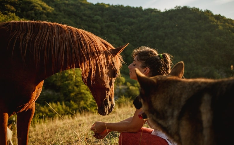 Progetto Appennino 2024. Ridare valore al territorio grazie ai sogni e alle idee dei giovani imprenditori