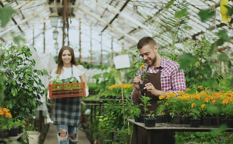 Agricoltura sociale in Lombardia: una ricerca per fotografare sviluppi attuali e potenzialità future