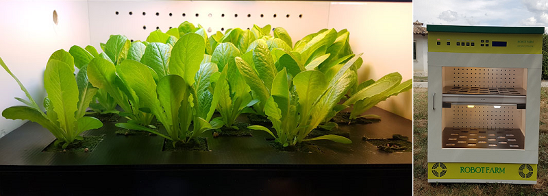 robotfarm