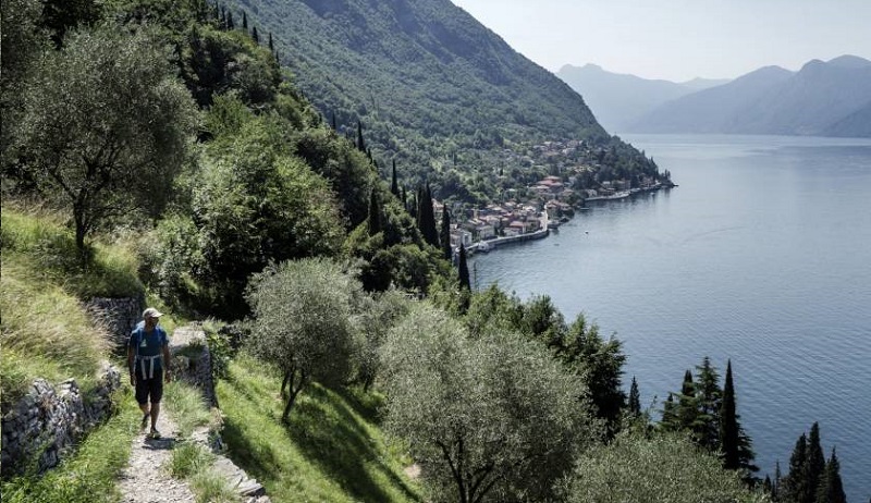 sentiero viandante tci copertina