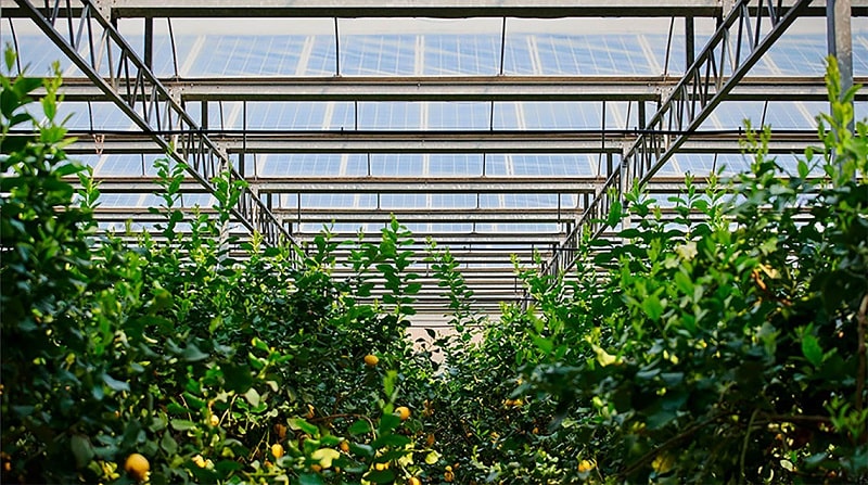 serraagrivoltaico