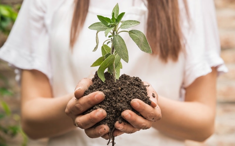 servizio civile agricolo 2