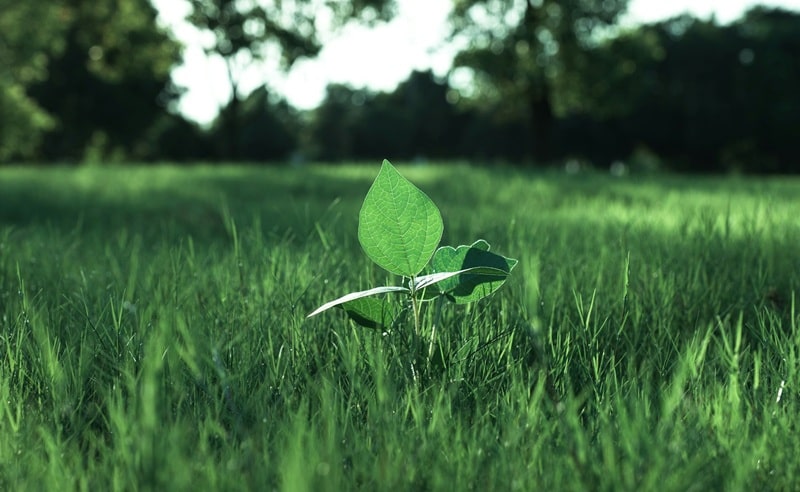 Sostenibilità è Qualità. Cresce in Italia la consapevolezza dei cittadini e il ruolo delle imprese 